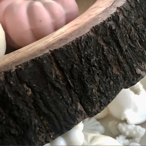 New! Sweet Silver Squirrel Solid Wood Nut Bowl Bark Like Wood - Picture 6 of 8